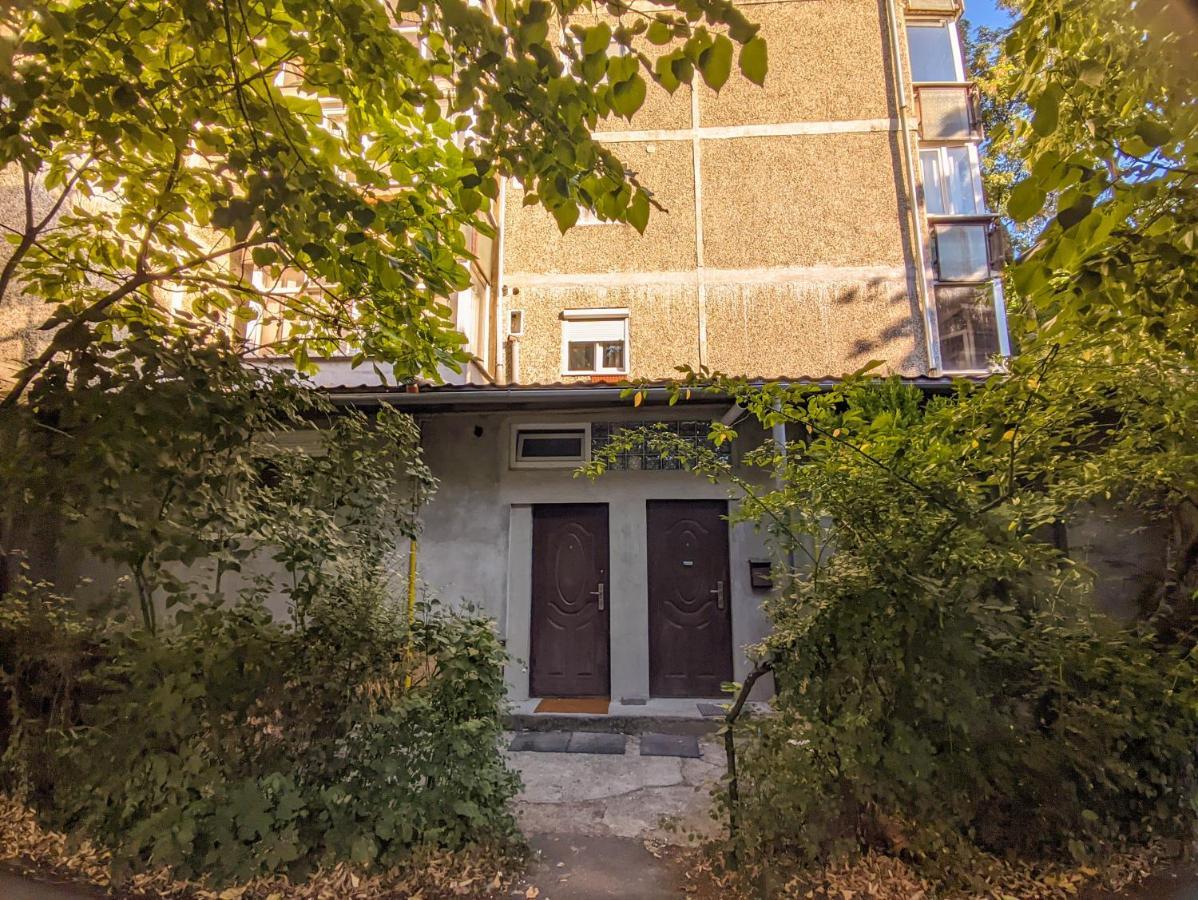 Moss'S Economy Studio Temešvár Exteriér fotografie